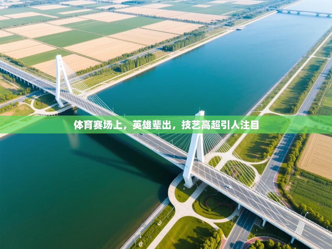 体育赛场上，英雄辈出，技艺高超引人注目  第1张