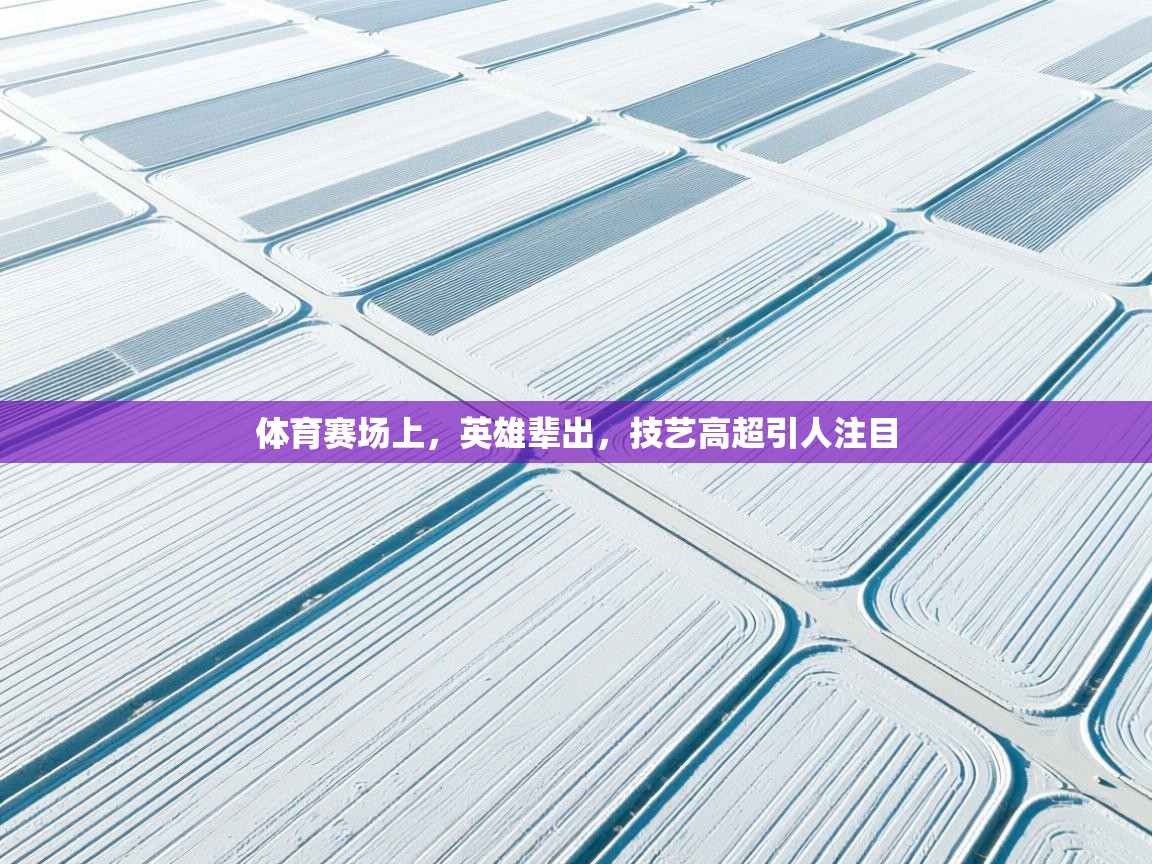 体育赛场上，英雄辈出，技艺高超引人注目  第2张